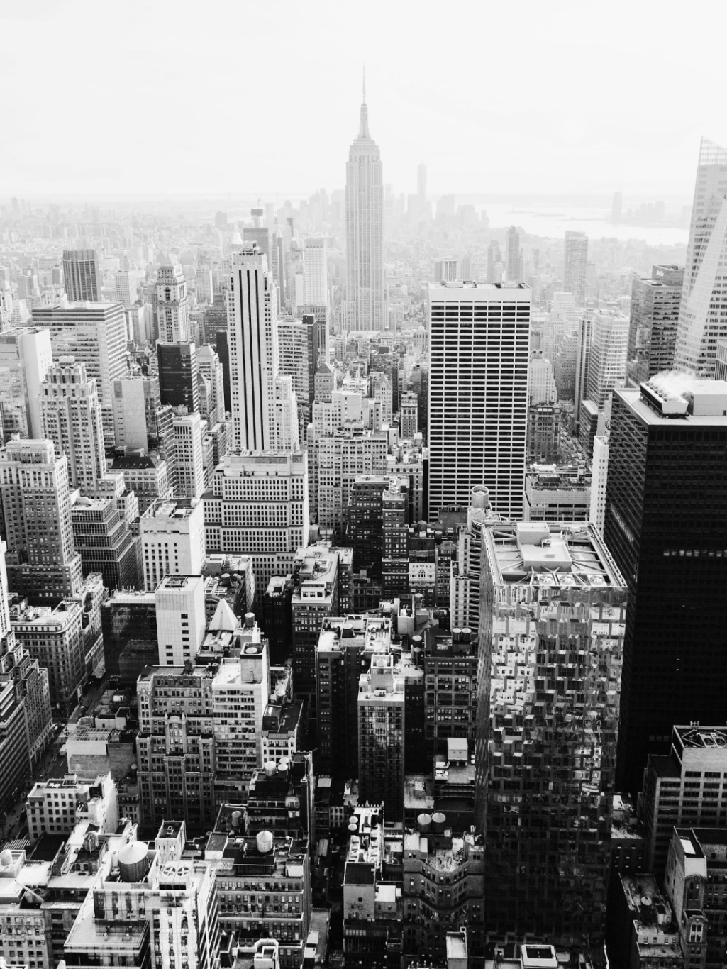 jil beckmann zucg5jX Uek unsplash 1